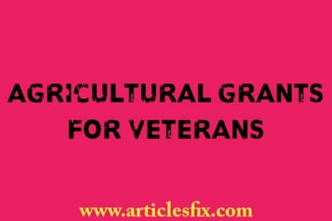 agricultural grants for veterans