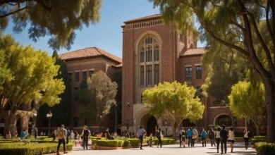 UCLA Law School Acceptance Rate